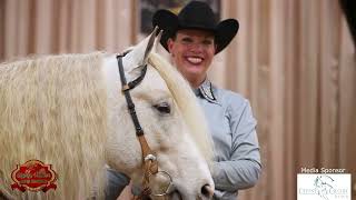 2024 Gypsy Vanner National Championships DAY4 RECAPWestern Pleasure Ranch Riding Horsemanship [upl. by Allain]