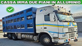 VOLVO FH12420 Trasporto Animali Vivi Cassa IRMA [upl. by Dene]