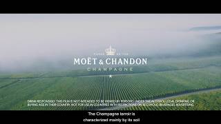 Winemaking amp SavoirFaire  220  Moët amp Chandon [upl. by Chrissa]