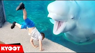 Beluga Whale is AMAZED by Tricks  Funny Aquarium Videos [upl. by Annia927]