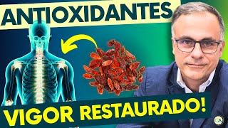 4 MELHORES ANTIOXIDANTES Vitaminas que NUNCA DEVEM FALTAR [upl. by Thurmond239]