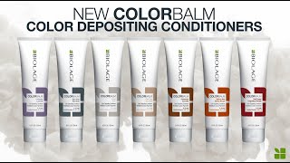 Introducing ColorBalm  Color Depositing Conditioners [upl. by Ragas]