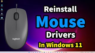 How To Reinstall Mouse Drivers In Windows 11 Pc or Laptop [upl. by Aremat]