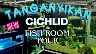 Fish Room Tour 20  Tanganyikan Cichlid [upl. by Inram563]