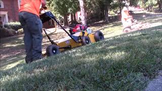 Stinger Aerator in Action  Plus Leaf Clean Up [upl. by Ocihc840]