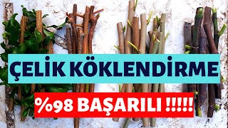 ÇELİK KÖKLENDİRME NASIL YAPILIR � BAŞARILI [upl. by Buskus]