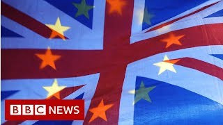 Full Brexit journey in under two minutes  BBC News [upl. by Gudrun]