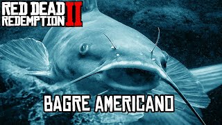 Localização do Bagre Americano RDR2 [upl. by Ahsemrak]