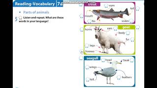 Excel 5 Module 7 p87 ex5 Parts of animals [upl. by Acceb]