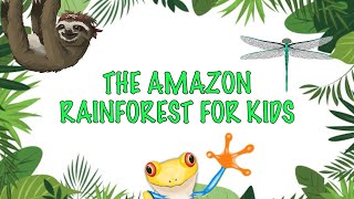 Facts about the Amazon Rainforest For kids [upl. by Kimball]