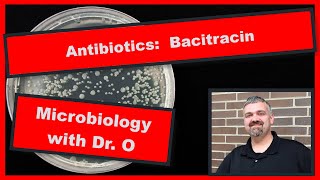 Bacitracin Antibiotic and Neosporin Microbiology [upl. by Ahtrim]