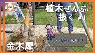 【DIY】大地の鎖を断ち切れ 1 金木犀【抜根】【バンガード発進】 [upl. by Rosecan]