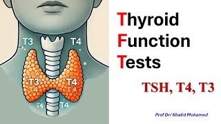 Thyroid gland profile tests كيف تقرأ تحليل الغدة الدرقية [upl. by Lydie871]