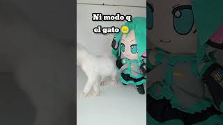 Miku perdio esto humor comedia memes [upl. by Chet]