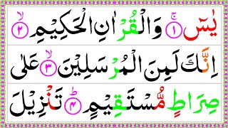 Surah Yaseen Full HD  Beautiful Panipati Voice سورة یس پانی پتی تلاوت readquranathome [upl. by Eimam]