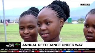 Thousands of maidens attend the annual Reed Dance [upl. by Tiram196]