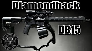 Diamondback DB15 AR15 Rifle with EOTech VUDU LPVO Scope Shooting Water Jugs [upl. by Dumanian]