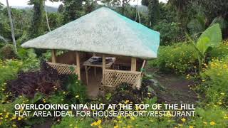 GUMACA QUEZON 4 87 Hectares CLEAN TITLE [upl. by Norramic]