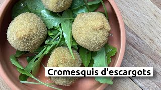 Cromesquis descargots [upl. by Vish597]