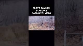 Rare footage of a Bigfoot in Provo Canyon Utah 2012 [upl. by Elwira]