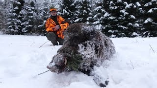 Schnelle Sauen im Schnee  Drückjagd in Masuren [upl. by Gove253]