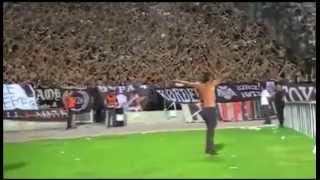 PAOK VODJA OBJASNIO  MADNESS [upl. by Dnomyar39]