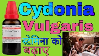 Cydonia Vulgaris Homeopathy Medicine Uses in Hindi [upl. by Azne]