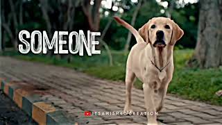 777 Charlie Whatsapp Status Video  Rakshit Shetty  Dog Lovers Status Video [upl. by Einned]