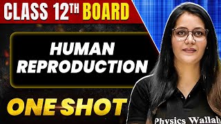 HUMAN REPRODUCTION in 1 Shot All Theory amp PYQs Covered  Class 12th Boards  NCERT [upl. by Nnaaihtnyc]