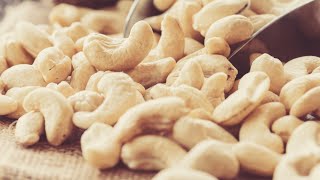 Why You Should Think Twice About Eating Cashews [upl. by Leanna]