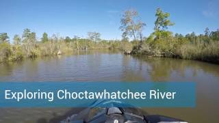 Exploring Choctawhatchee River [upl. by Shirline]