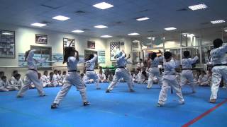 Taekwondo Demonstration  Music poomsae [upl. by Chiquia]