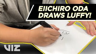 Eiichiro Oda Draws Luffy  Thank You Shonen Jump Members [upl. by Starkey]