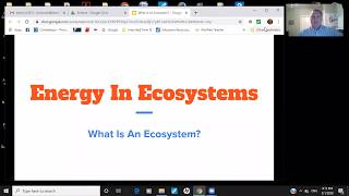 5th Grade  Science  What is an Ecosystem [upl. by Gaivn623]