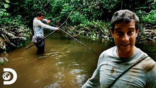 Bear pesca pirañas con arco y flecha en la Amazonia  A Prueba de Todo  Discovery Latinoamérica [upl. by Ahsienek470]