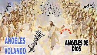 ANGELES DE DIOS  Ministerio Dei Verbum  Con Letra [upl. by Cochard]