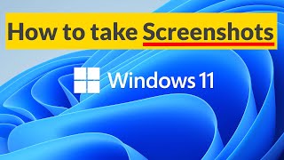 How to take screenshot in Windows 11 [upl. by Gilbert]