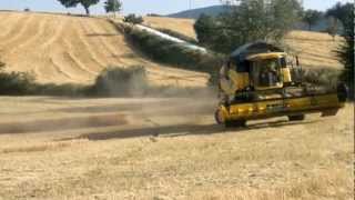 new holland cx 5090 mietitrebbia combine harvest [upl. by Oirifrop]