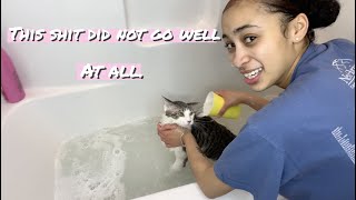 SO I TRIED TO WASH MY CATS [upl. by Lavella]