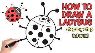 How to Draw a Ladybug Tutorial  drawing for beginners and kids [upl. by Lyell]