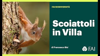 FAIBiodiversità  Gli scoiattoli rossi a Villa Panza [upl. by Pardoes]