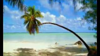 Wonderful Chill Out Music Elmara Trainingmp4 [upl. by Nautna]