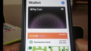 How To Add Reward Cards To Your Apple Pay [upl. by Alita]