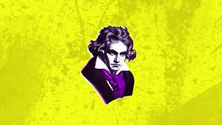 BEETHOVEN TRAP Type BEAT  Instrumental Hip Hop  quotFür Elisequot [upl. by Ahtelra]