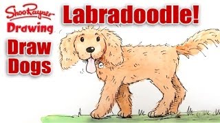 How to draw a Labradoodle [upl. by Eanerb]