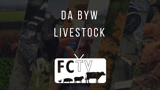 FCTV  Da Byw  Livestock [upl. by Albrecht]