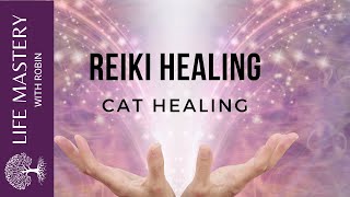 Reiki Healing  Healing Cats with Sound Music [upl. by Eiramacissej]