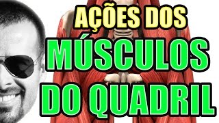 Vídeo Aula 116  Anatomia Humana  Sistema Muscular Ações dos Músculos do Quadril [upl. by Kathryne]