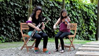 Uilleann Pipes and Fiddle [upl. by Arty]