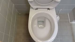 Standard Urinal amp Duravit Wallhung Toilet [upl. by Sal]